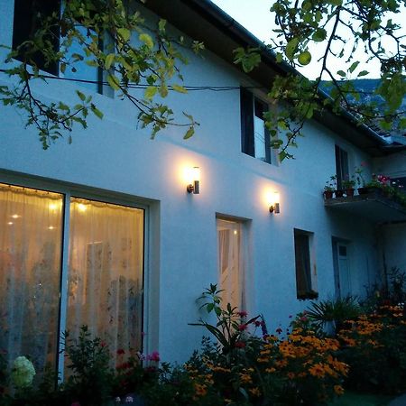 Pension Casa Anadam 伯伊莱海尔库拉内 外观 照片