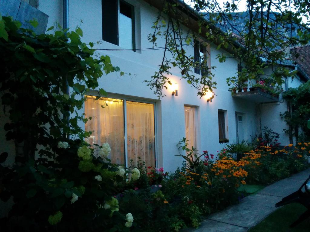 Pension Casa Anadam 伯伊莱海尔库拉内 外观 照片