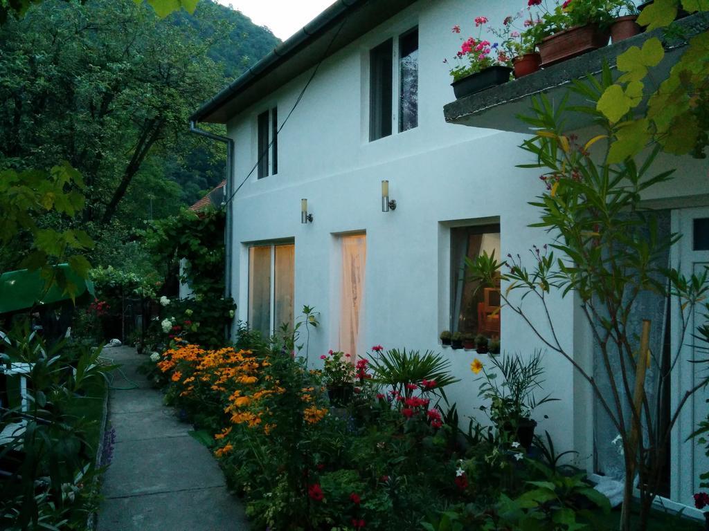 Pension Casa Anadam 伯伊莱海尔库拉内 外观 照片